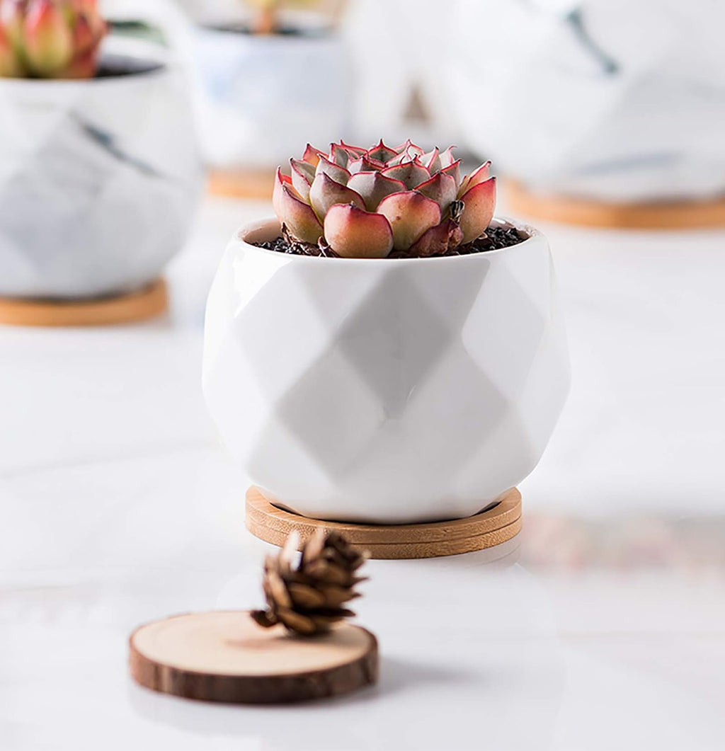 6 Pack Ceramic Succulent Planter Pot with Bamboo Tray, 4 Inch Small White Diamond Shaped Cactus Herb Flowers Planter