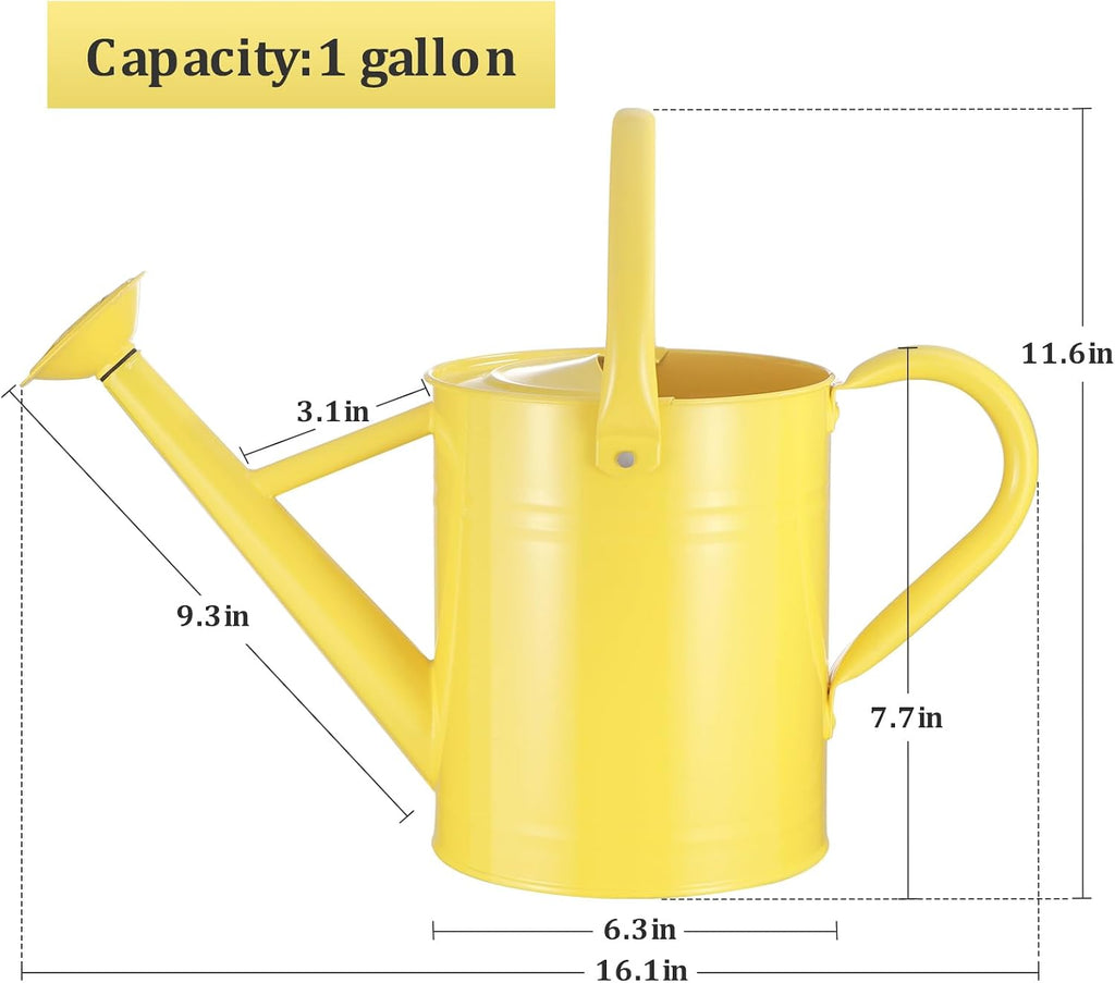 1 Gallon Metal Watering Can for Outdoor&Indoor Plants | Removable Sprinkler Head,Made of Premium Galvanized