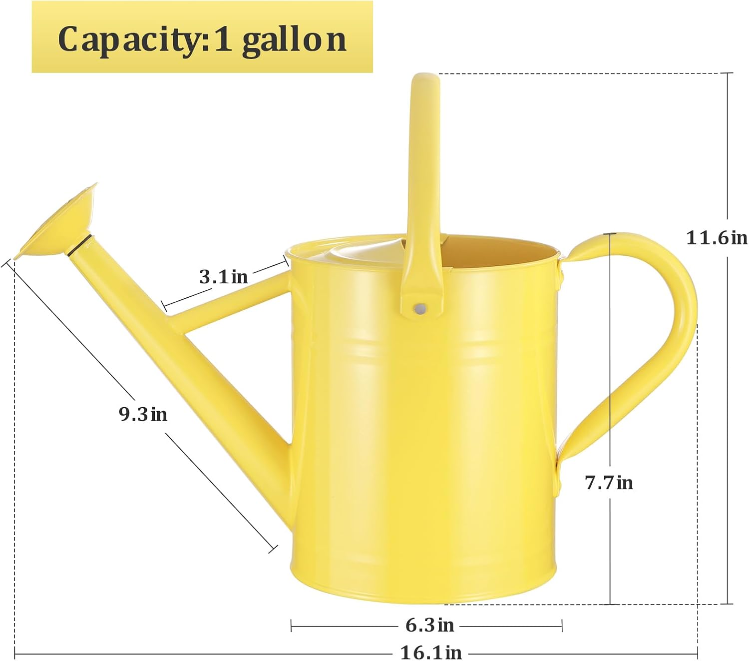 1 Gallon Metal Watering Can for Outdoor&Indoor Plants | Removable Sprinkler Head,Made of Premium Galvanized