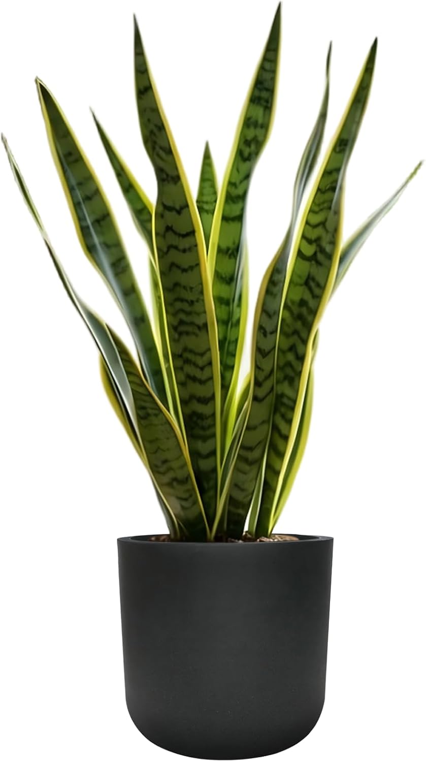 11"H Black Plastic Planter with Drainage Hole & Plug for Indoor Outdoor Use | UV Resistant, Durable & Weatherproof, for