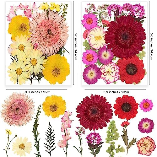 122PCS Large Nature Dried Pressed Flowers for Resin Mold, Real Dry Pressing Floral with Butterfly Transparent Stickers Set for DIY Jewelry Making Nail Card Scrapbook Art Craft Love Parade