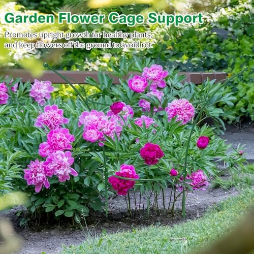 4 Pack Peony Cages and Supports Cages 13" D x 22.8" H Sturdy Metal Support Frame for Peonies & Roses Natural Bouquet Shape Garden Stakes for Outdoor Plants Flowers Ornamental (Green)
