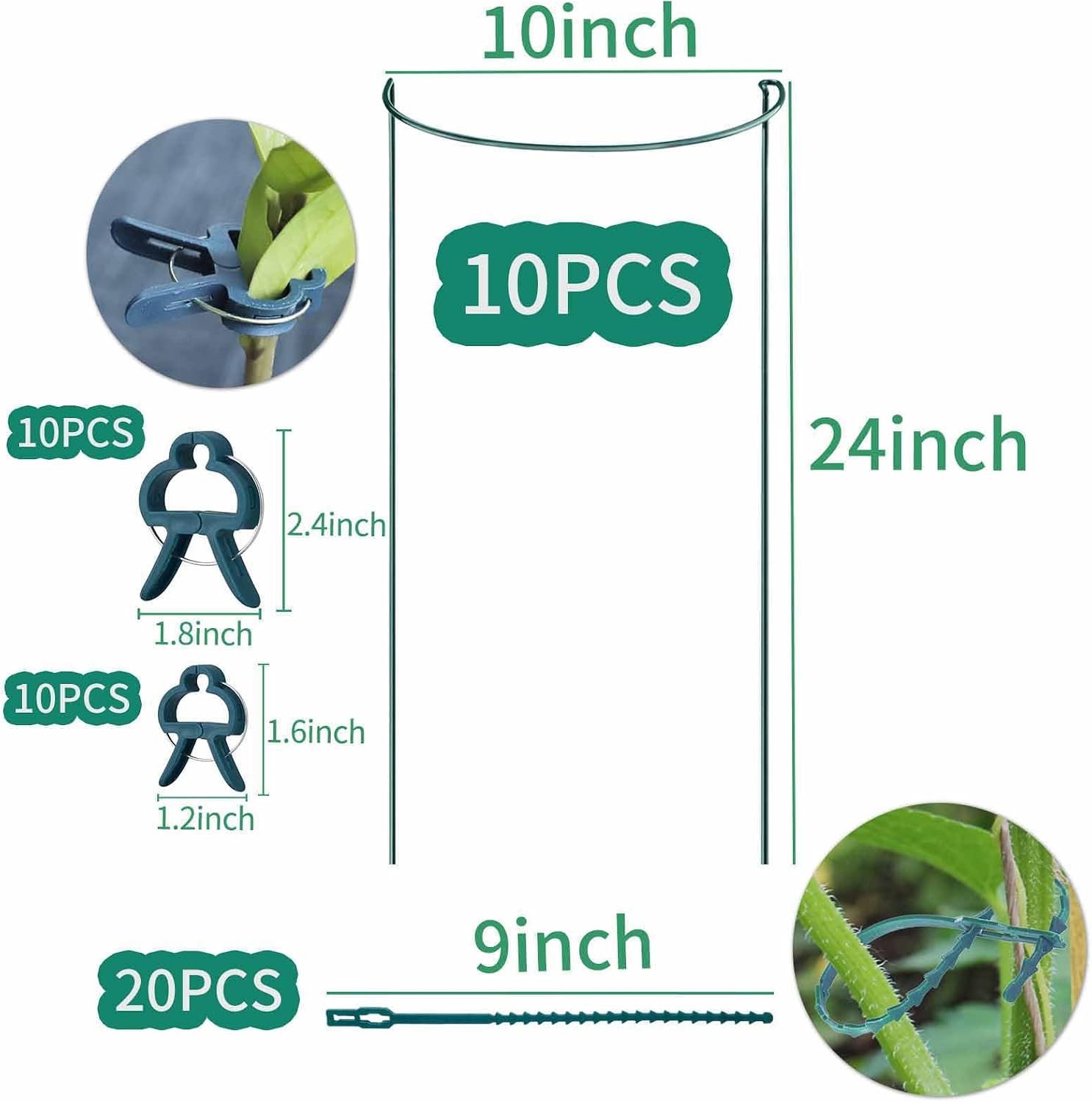 TCBWFY 10 Pack Garden Supports for Plants Metal 10" Wide x 24" High Interlock Half Round Garden Plant Support Ring