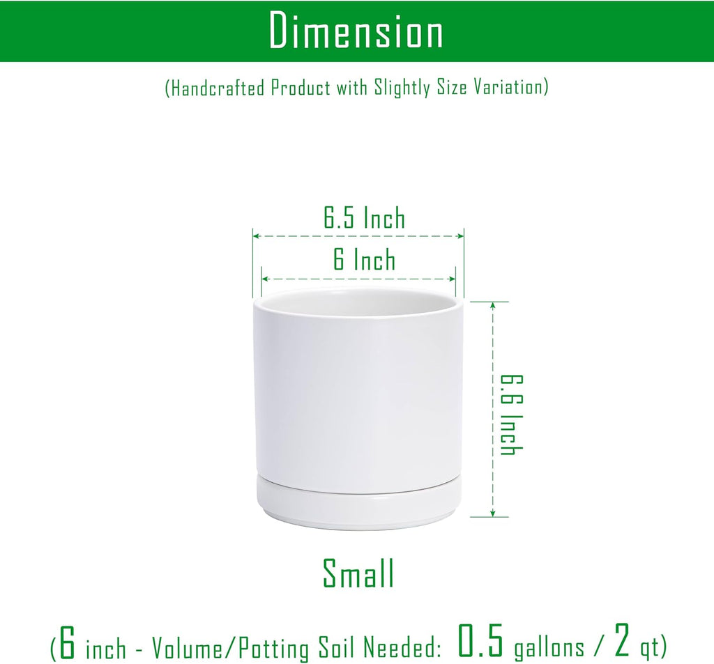 D'vine Dev 6.5 Inch Ceramic Planter Pot, White, 94-O-C-1 | Modern Cylinder Design, Drainage Hole & Saucer Included