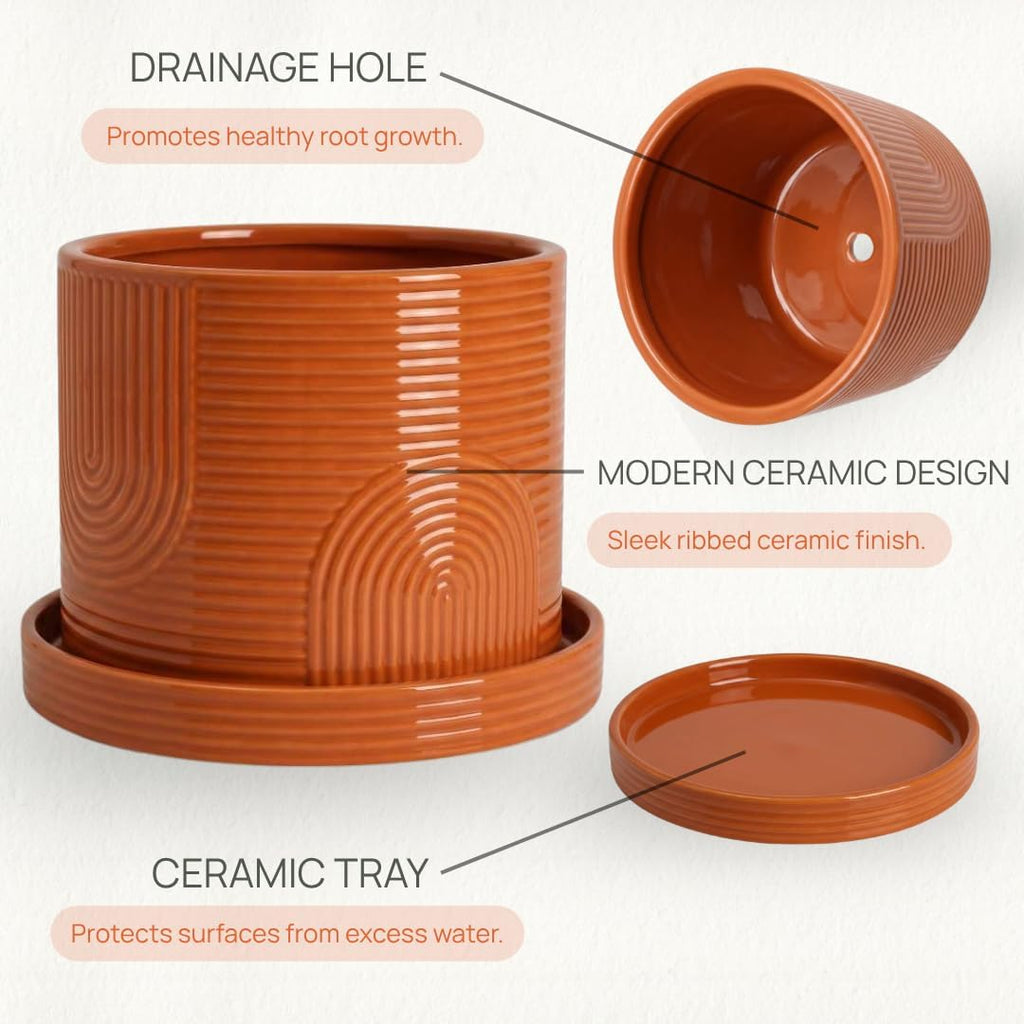 6 Inch Ceramic Plant Pot with Drainage Hole & Tray – Terracotta | Complete Planting Kit: Drainage Hole, Matching Tray &