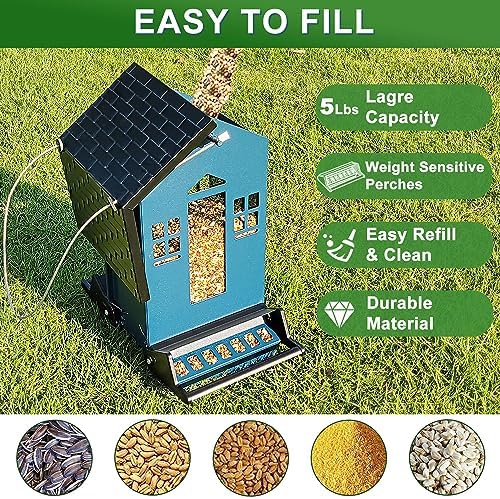 Squirrel Proof Bird Feeders for Outdoors, 6LB Metal Hanging Feeders, Large Wild Feeders for Cardinals, Chickadees, Durable Backyard Feeders（Blue