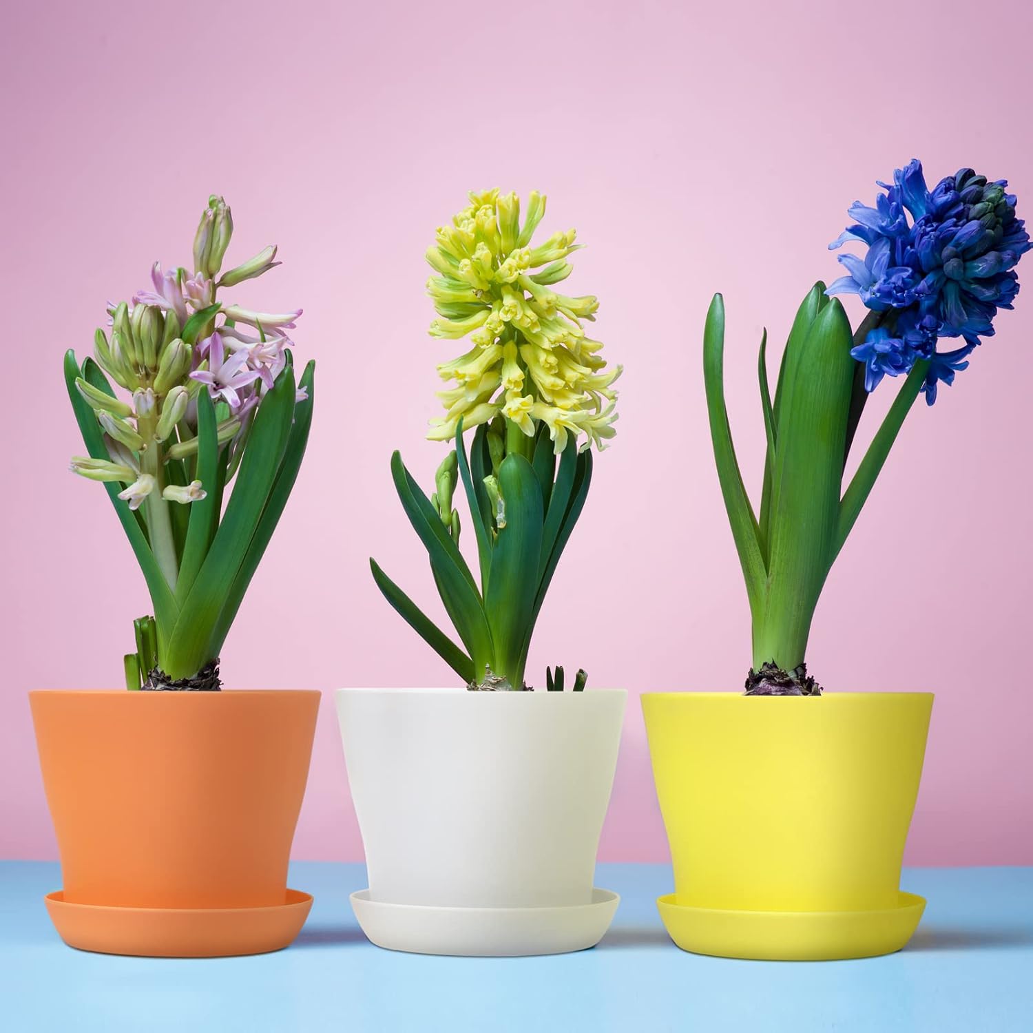 Hahood 20 Pack Plastic Planters 5.5 Inch Plant Flower Pot with Trays, Seedlings Nursery Pots Planter Flower Container