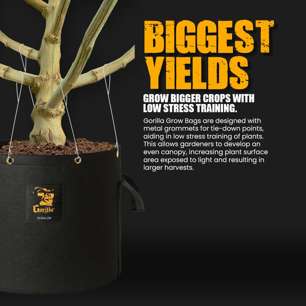 Gorilla 7 Gallon Grow Bags, Toughest Reusable Fabric Pots, Tallest True Gallon Sizes with Biggest Volume, Thickest 600g