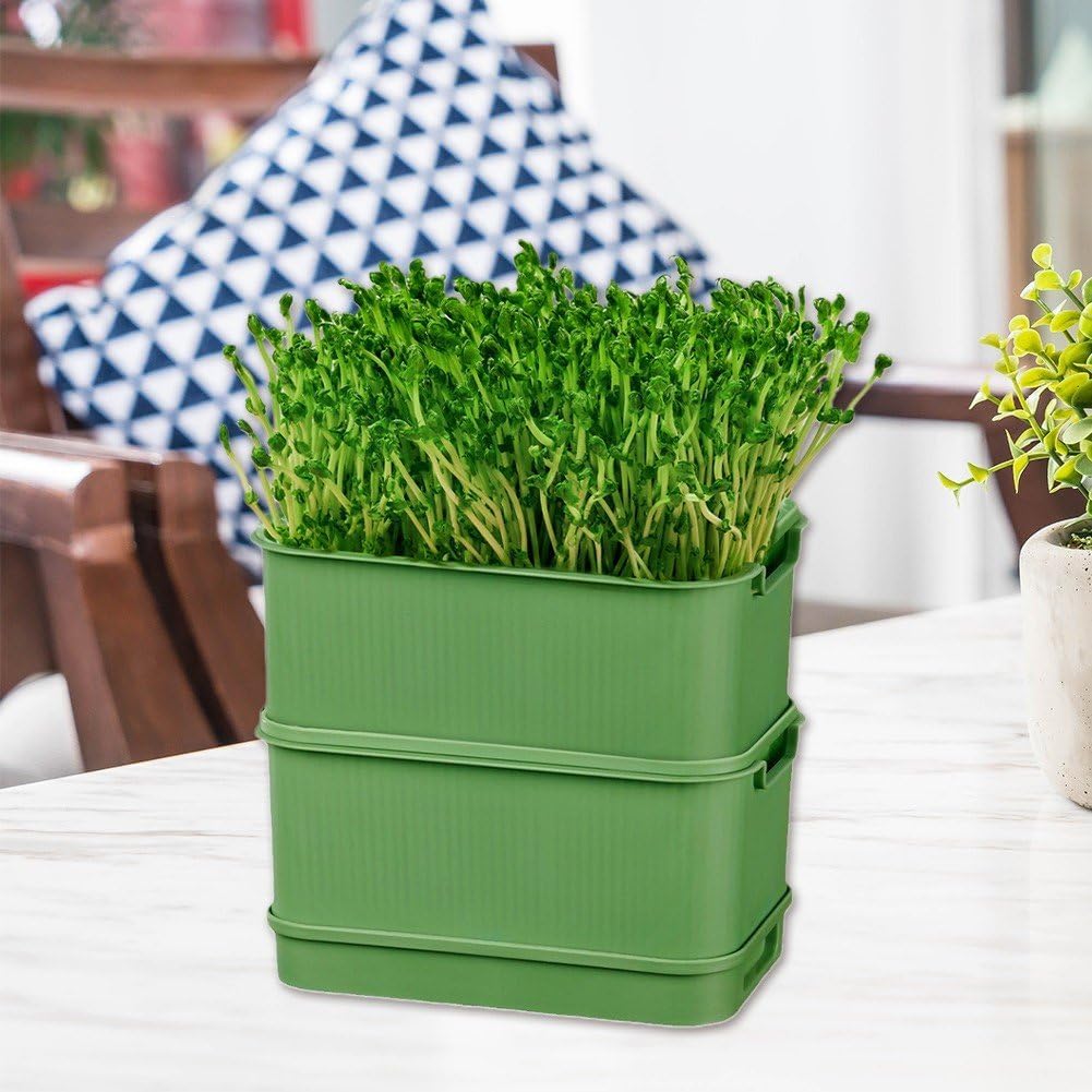 Seed Sprouter Kit, 2 Tier Seed Sprouting Tray, Hydroponic Propagator Mini Plant Grow Trays, Soil Free Germination Tray
