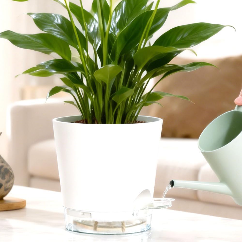 Self Watering Pots for Plants, 2026 New Flower Plant Pots with Drainage Holes, Wicking and Clear Reservoirs for