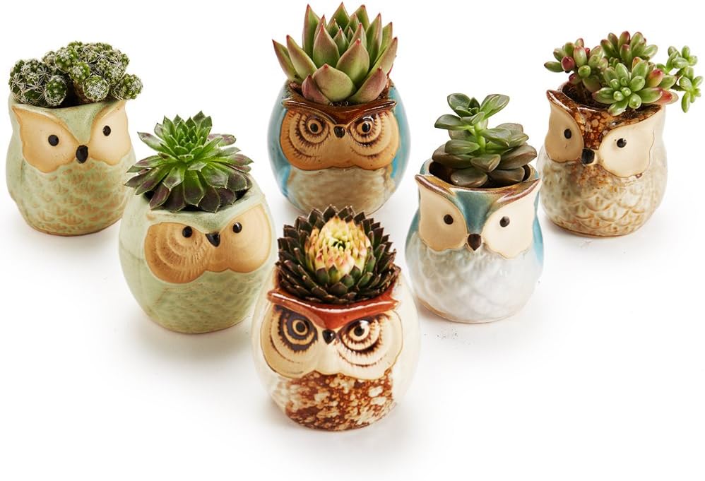 Owl Pot Ceramic Flowing Glaze Base Serial Set Succulent Plant Pot Cactus Plant Pot Flower Pot Container Planter with