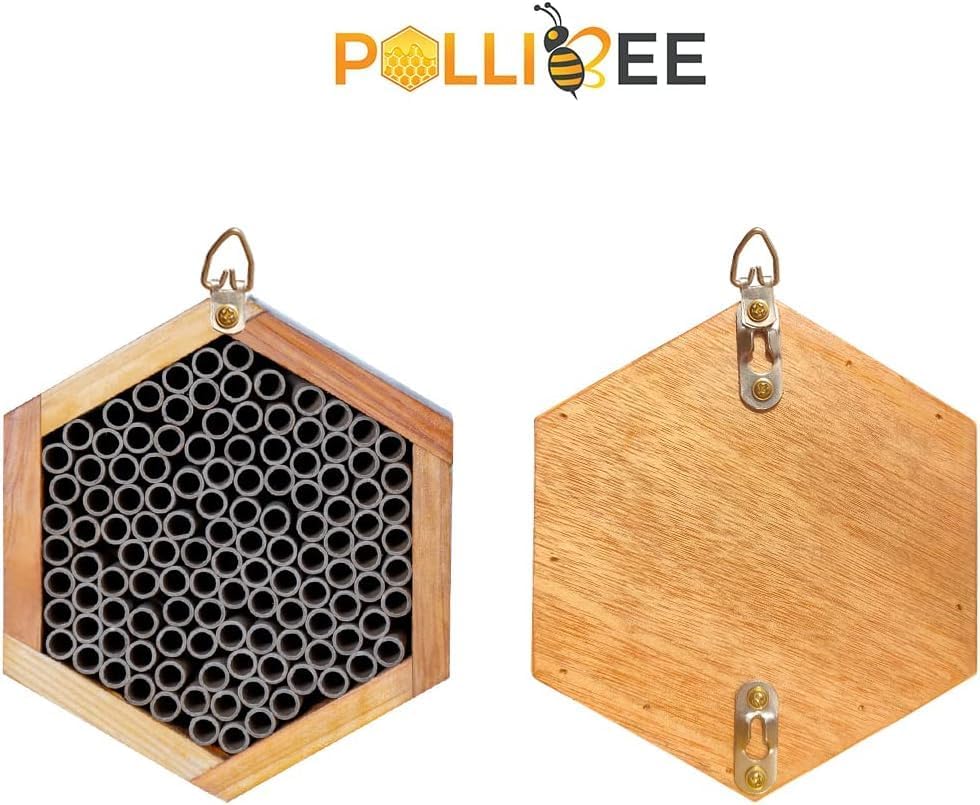Mason Bee House - Handmade Natural Wooden Bee Hive Coated with Wax for Water-Proof and Long Service Life - Attracts