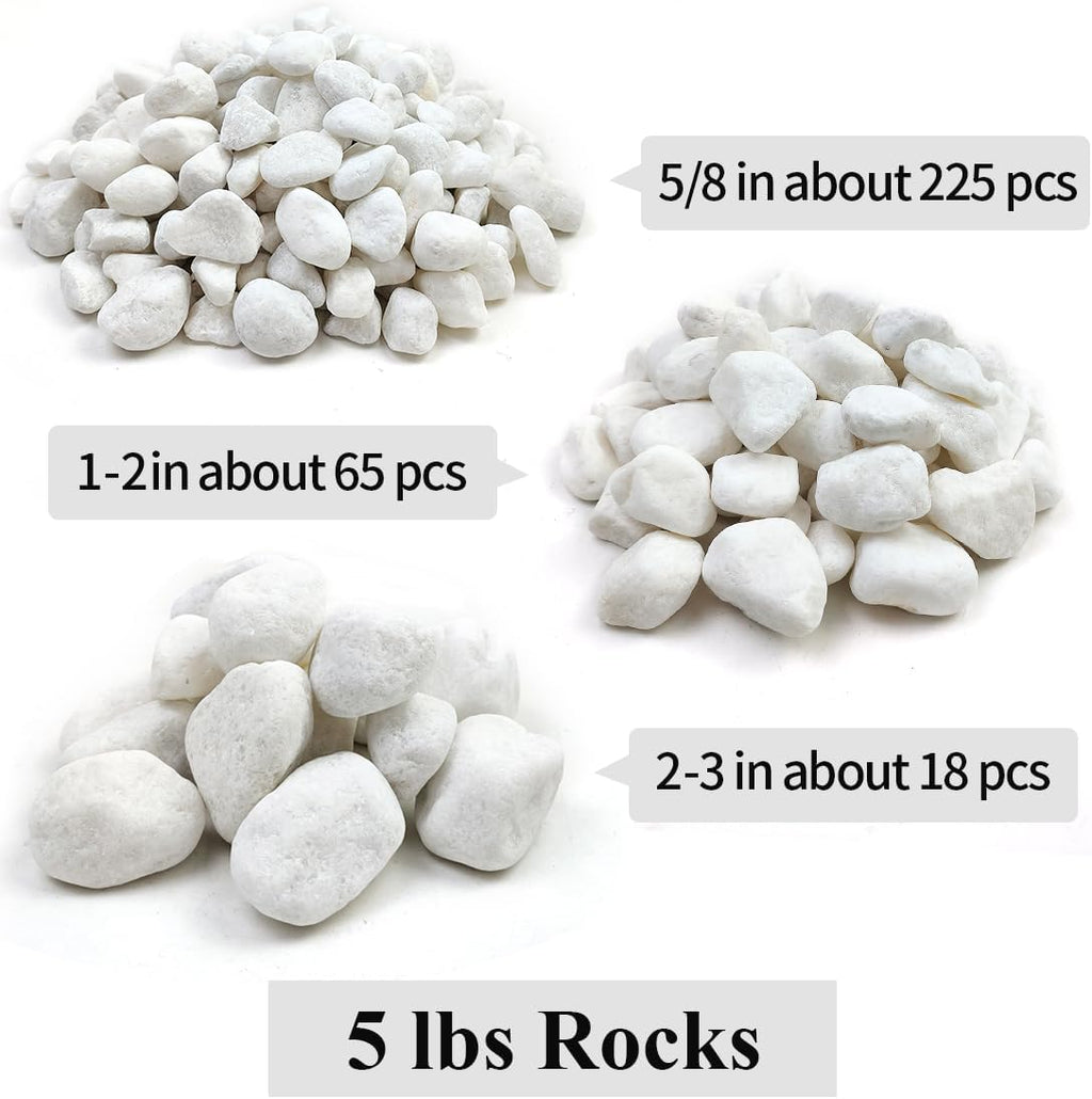 20lb White River Rocks for Landscaping, 2-3 Inch Natural Pebbles for Indoor Plants, Snow White Decorative Stones, Ideal
