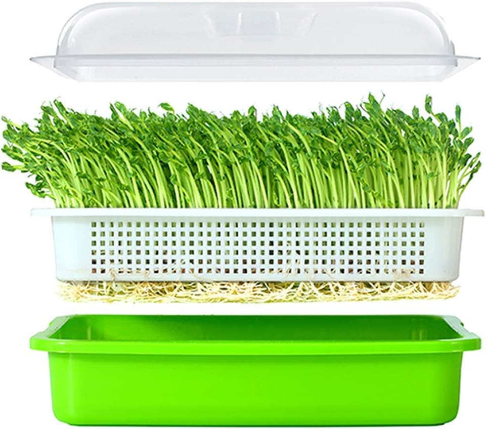 2 Pack of BPA Free Home Microgreen Soilless Hydroponics Seed Sprouter Grow Tray with Cover + Free Spray Bottle and 20