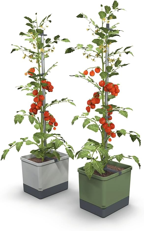 BUZZY Seeds Self-Watering Vertical Tomato Planter, Trellis, 1.2 Gal, Gray | Self-watering vertical planter with