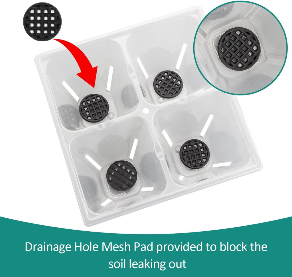RooTrimmer 40 Pack Reusable 4-Cell Seed Starter Trays with Large Drainage Holes - Clear Transparent Trays for Root