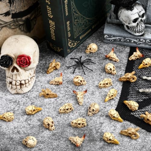 60Pcs Halloween Mini Resin Animal Skulls Heads Tiny Skeletons