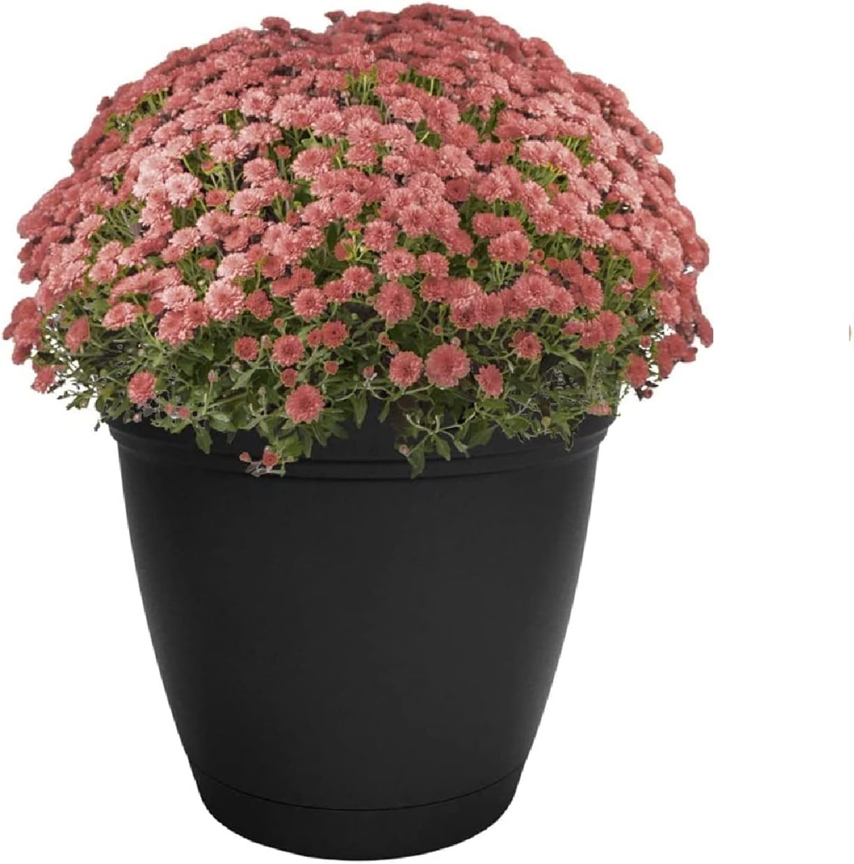 The HC Companies Eclipse Round Planter with Saucer - Outdoor & Indoor Plant Pot with Drainage Holes - Lightweight