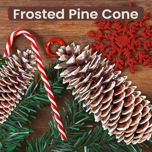 Large Pine Cones for Crafts, 9-12 Inch Extra Large Frosted Sugar Pinecones - Set of 3 Natural Pine Cones for Christmas Tree Ornaments, Vase Fillers, Rustic Home & Holiday Décor - Frosted