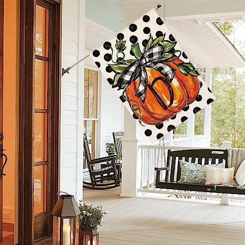 AVOIN colorlife Fall Monogram Letter D House Flag 28x40 Inch for Outside