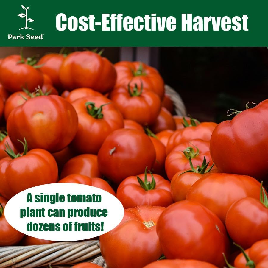 Park Seed Variety of Tomato Seeds, Planting Vegetables, Easy to Grow, Non-GMO, Perfect for Harvesting, Beefmaster
