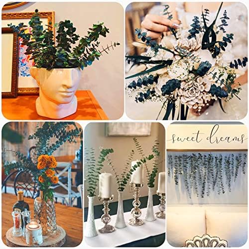 16 Pcs Dried Eucalyptus Stems for Shower Hanging, 17'' Real Fresh Plants