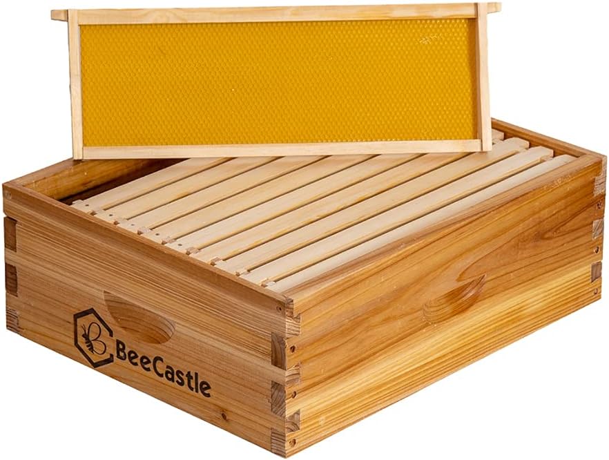 BeeCastle 10 Frame Medium Super Bee Hive Box, Langstroth Honey Bee Hive Dipped in 100% Beeswax Include Beehive Frames