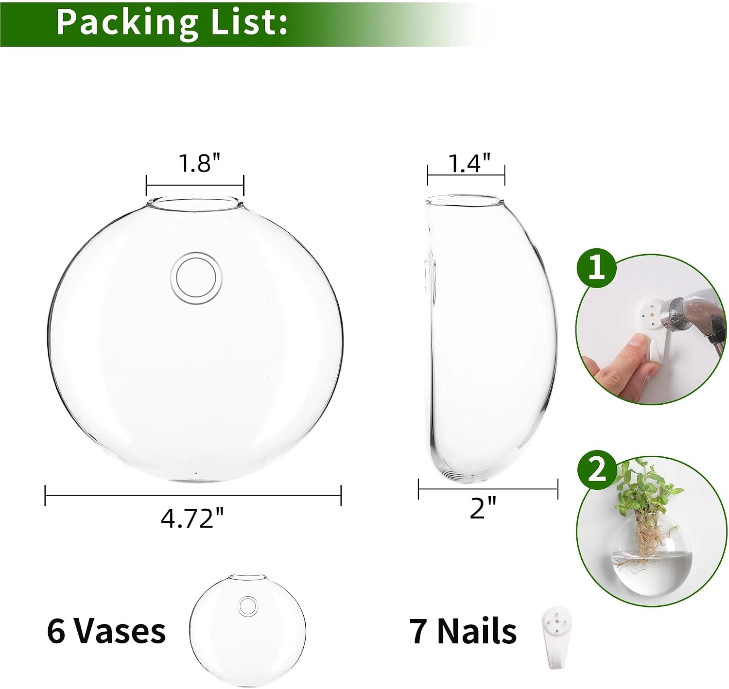 Wall Propagation Planters 6 Pack Wall Glass Planters Wall Plant Holder | Glass Wall Vase, Indoor Hydroponic Decor