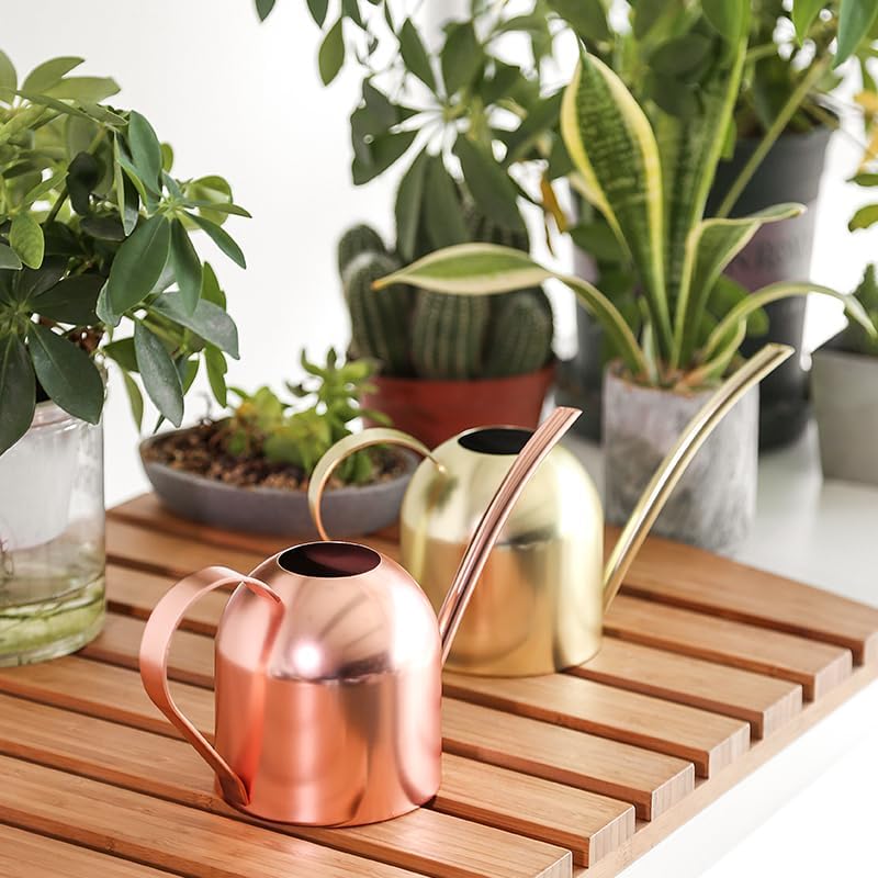 Gold Watering Can for Indoor Plants, 450ml/15oz Metal