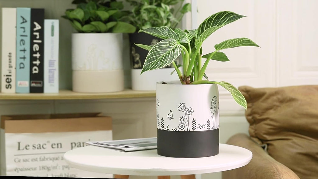 Nihow Self Watering Pots for Indoor Plants,6 Inch,White,Hand Painting | Ceramic Planter, Drainage Hole & Water Storage