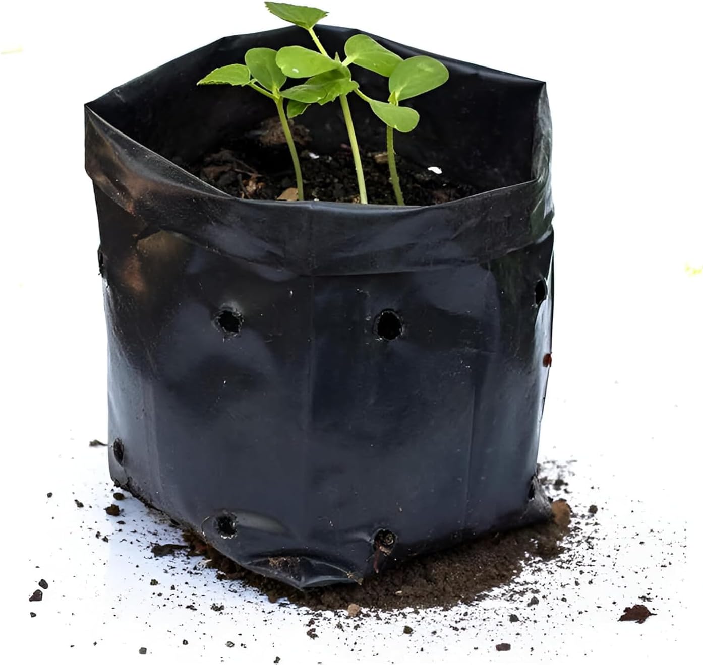 Go Garden Big Grow Bags 24"x24" for Home, Terrace, and Balcony Gardening | Pack of 12 | Ideal for Vegetable Plants and