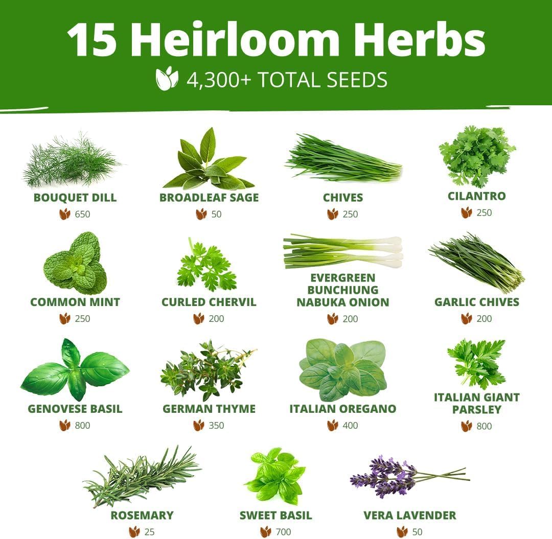 HOME GROWN 70 Variety Vegetable & Herb Seeds 30,600+ USA Non-GMO Heirloom Survival Seeds Garden Kit for Spring, Fall
