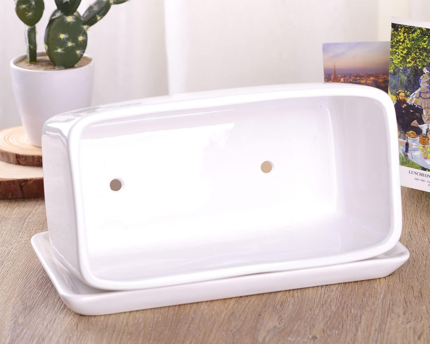 VanEnjoy 10 Inch White Rectangle Ceramic Succulent Planter Pot Decorative Cactus Plant Pot Flower Container with