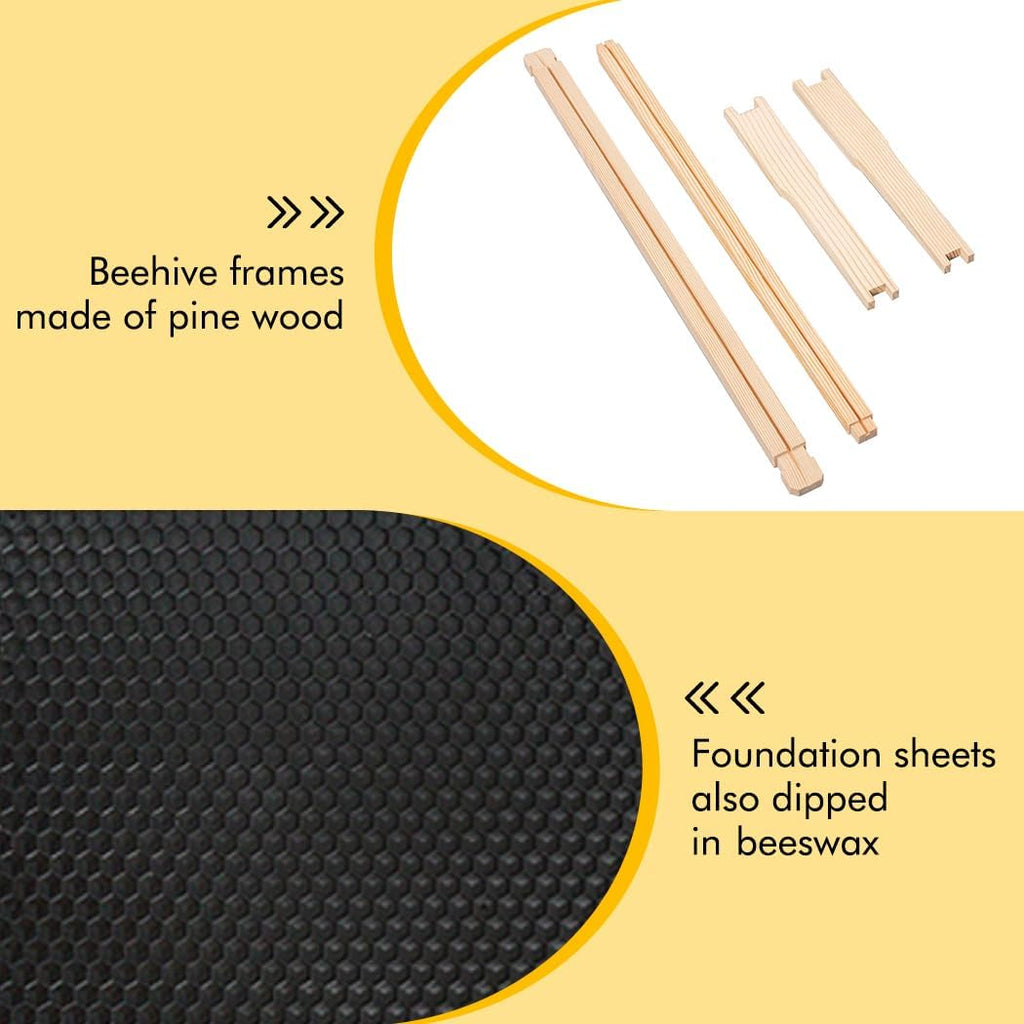 Honey Lake Medium Beehive Frames and Foudations Kit,10 Pack Super Bee Frames with Beeswax Coated Plastic Foundations