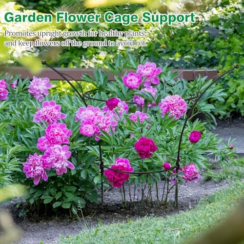 2 Pack Peony Cages and Supports Cages 13" D x 22.8" H Heavy Duty Metal Support Frame for Peonies & Roses Natural Bouquet Shape Garden Stakes for Outdoor Plants Flowers Ornamental (Black)