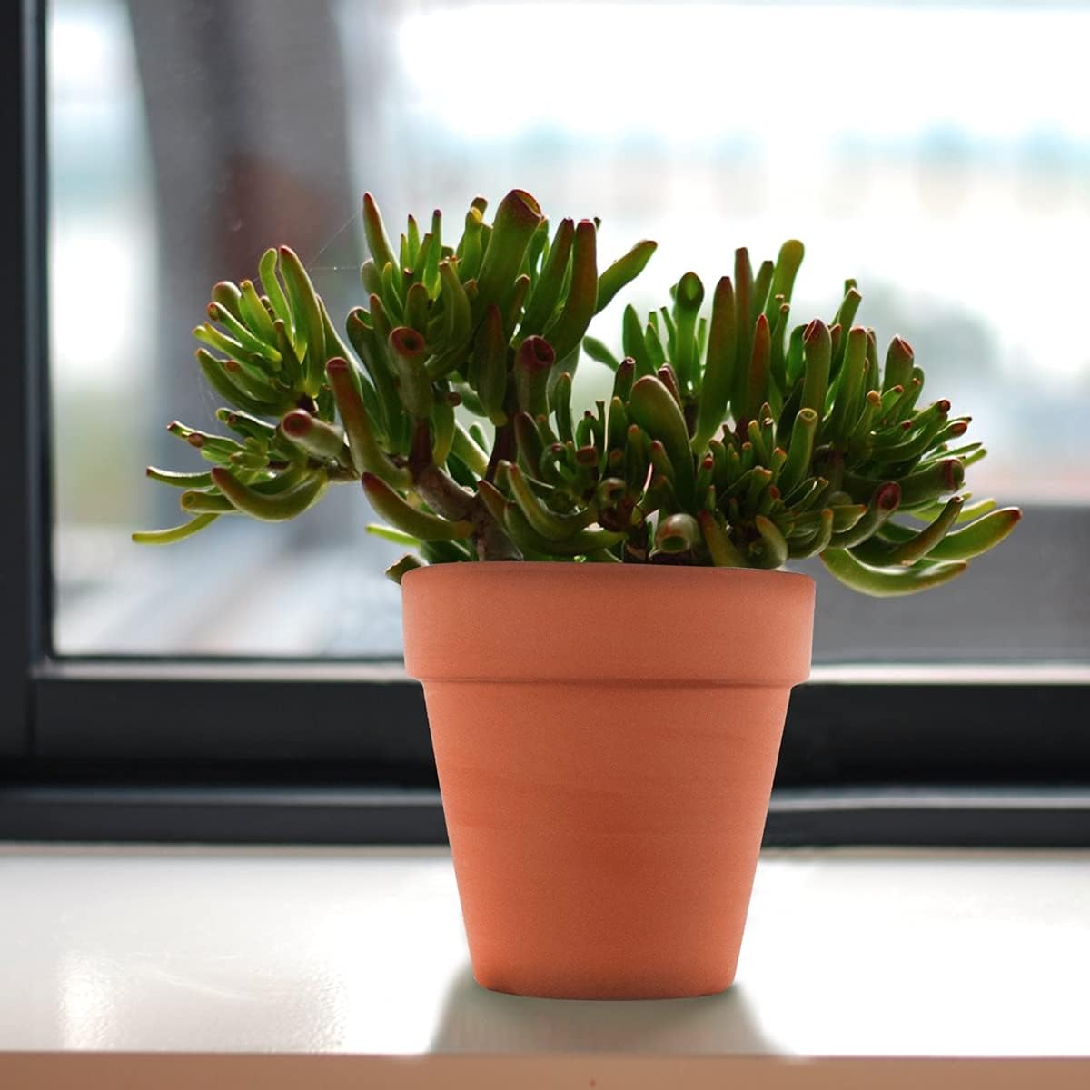 Sderoq 3 Inch Terracotta Pots - 22Pack Clay Flower Pots with Drainage Hole, Succulent Nursery Pot/Cactus Plant Pot.