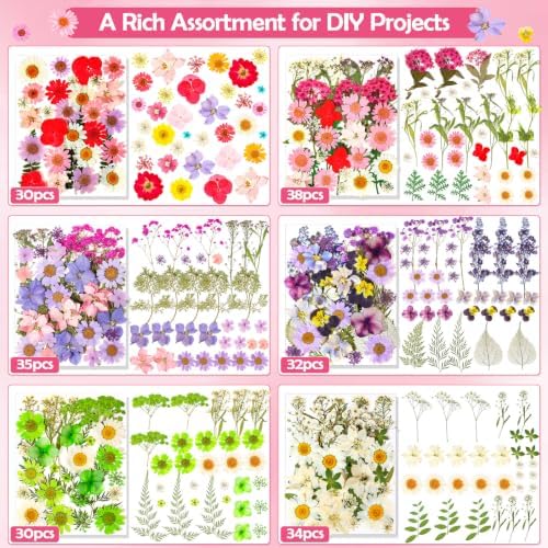 481 PCS Pressed Flowers for Crafts, Real Dried Pressed Flowers Nature Dry Flower Leaves Bulk for Resin Jewelry Making Scrapbooking Candle Soap Making Nails Frame Décor