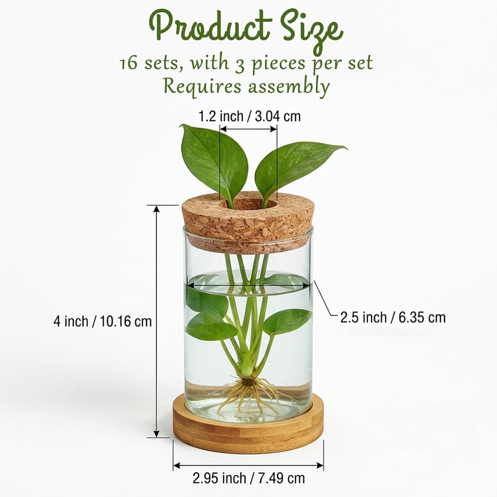 16 Pcs Propagation Vases with Bamboo Stand and Hole Lid, Glass Plant Propagation for Plants Water Hydroponic Desktop