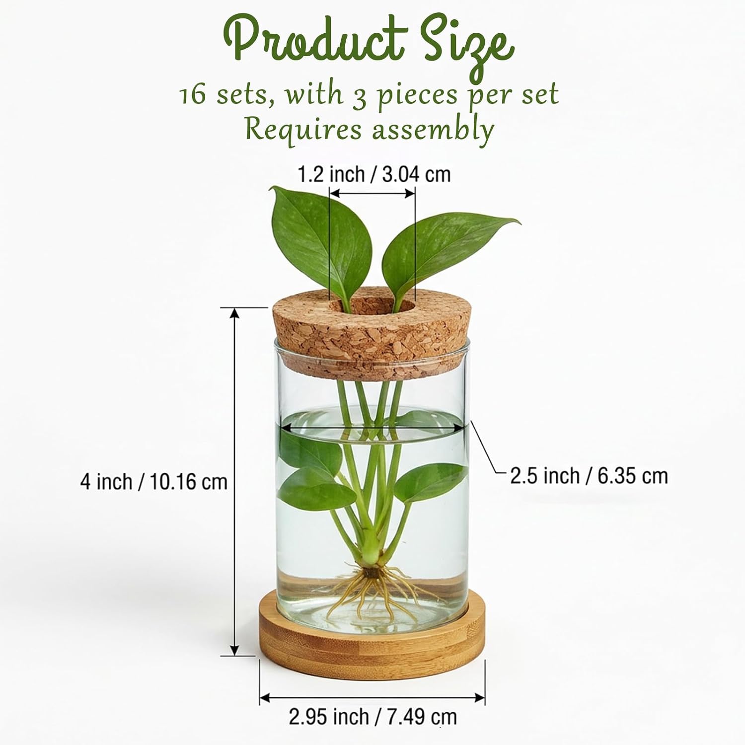 16 Pcs Propagation Vases with Bamboo Stand and Hole Lid, Glass Plant Propagation for Plants Water Hydroponic Desktop