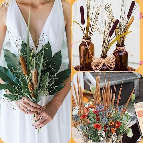 Dried Natural Brown Cattails Flowers - 20PCS Real Broadleaf Pencil Cattail Stems Bundles, 17'' Bulrush Plants Dry Flower for DIY Floral Arrangements, Wedding Home Office Gardens Decor
