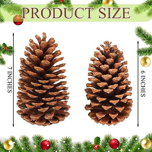 Huwena 12 Pcs 6-7 Inch Pinecones Large Natural Unscented Pine Cones Bulk