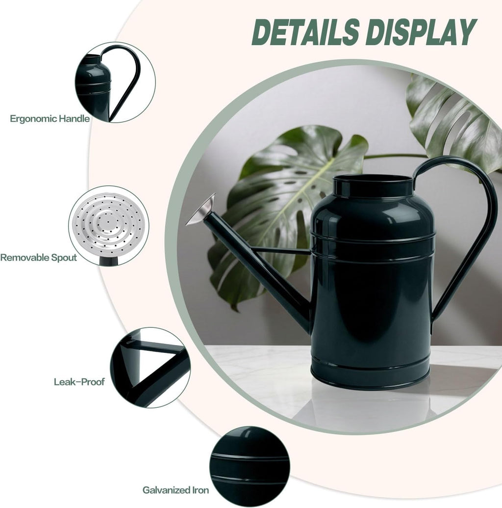 2.3 Gallon Dark Green Metal Watering Can for Plants and Garden with Removable Spout, Made of Galvanized Iron