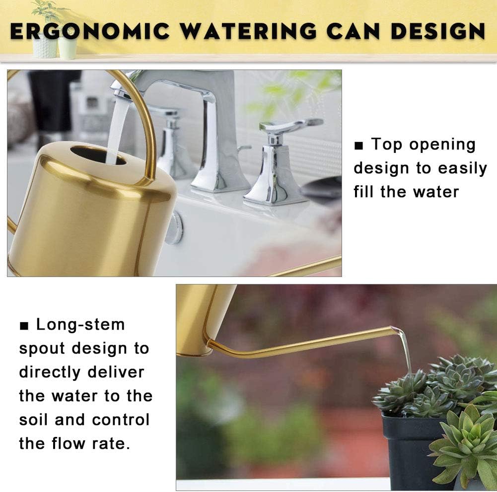 Remiawy Watering Can Indoor Outdoor Stainless Steel Watering Cans for House Plants Long Spout Water Can for Succulent