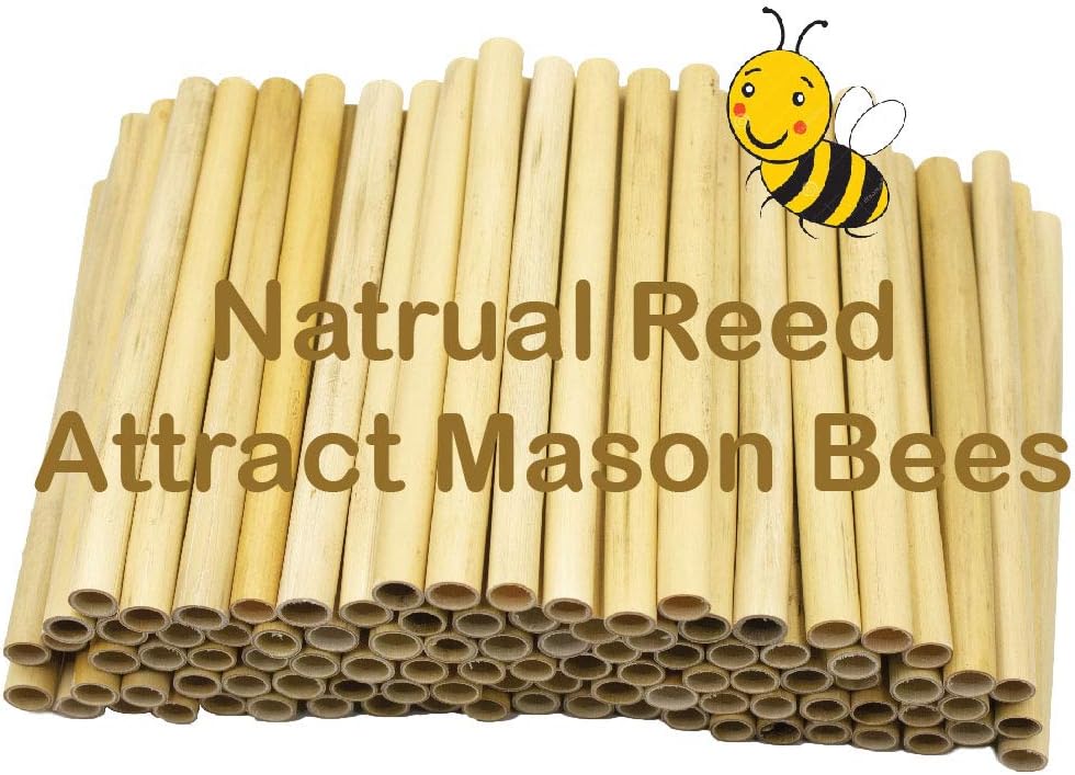 Veezy Mason Bee Tubes Natural Reed Pipe bee hive Inserts Pollinating kit for bee House Blocks bee nest Home Craft