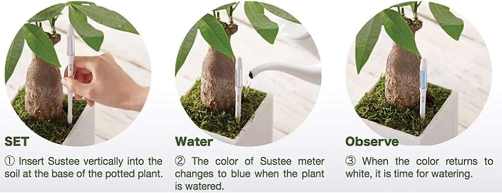 IPPINKA Sustee Aquameter - Bundle of 24 - House Plant Soil Moisture Meter - Best for Indoor Potted Plants, Large Green