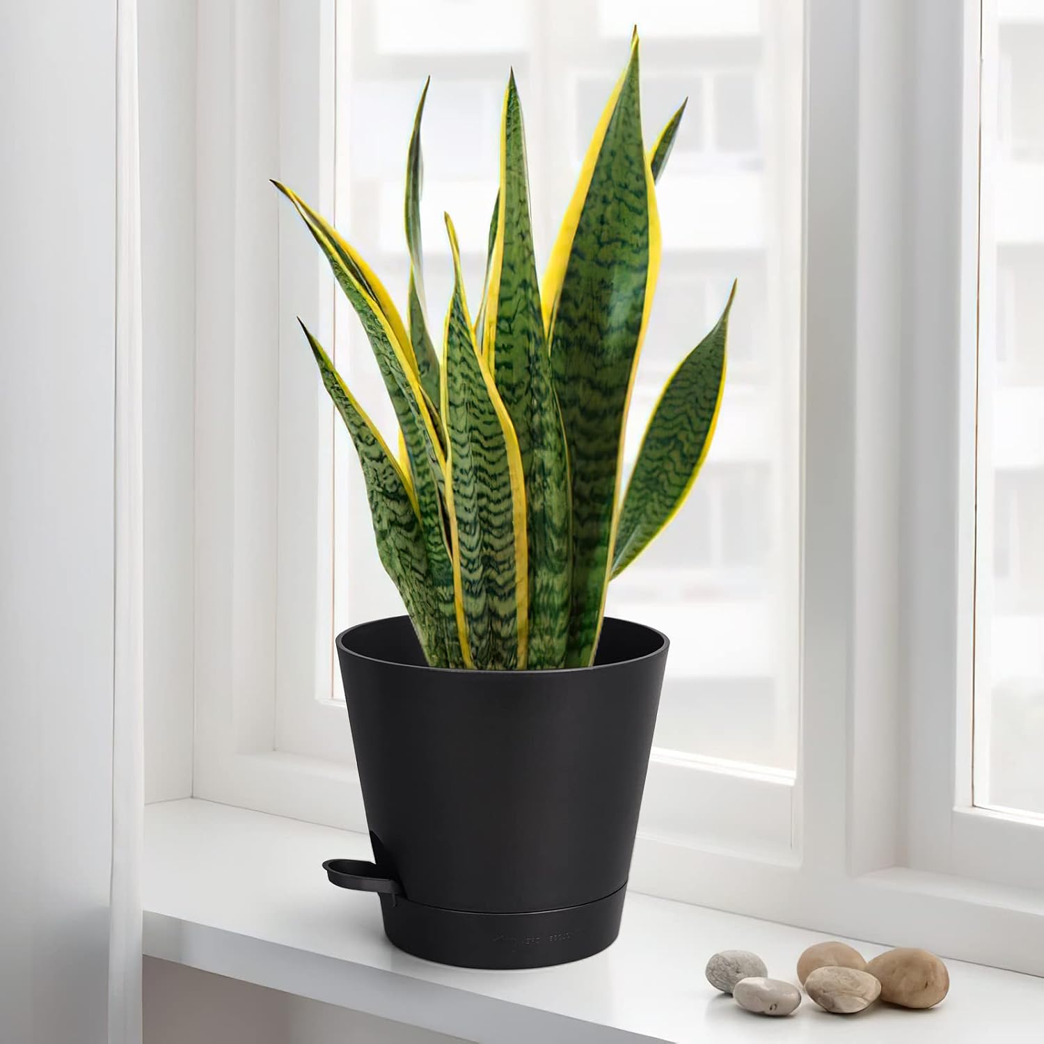 8 Inch Self Watering pots for Indoor, 6 Pack Plastic Plant Pots with Drainage Holes, Black