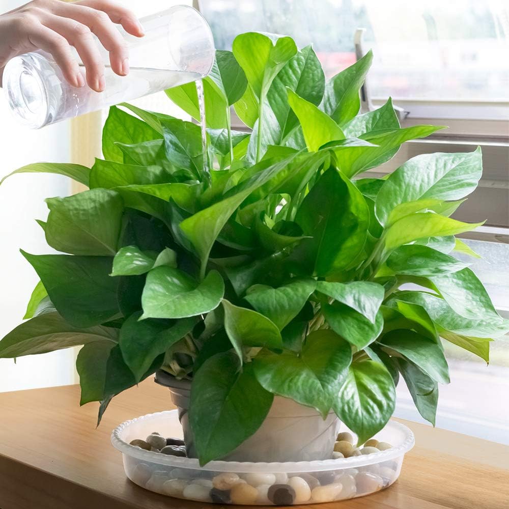 MUDEELA 6 Pack of 15 inch Plant Saucer, Durable Plastic Plant Trays for Indoors, Clear Plastic Flower Plant Pot Saucer