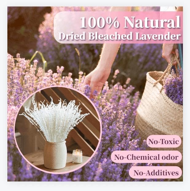 Glicrili Dried Lavender Flowers Real Stems White Bouquet for Vase Decor