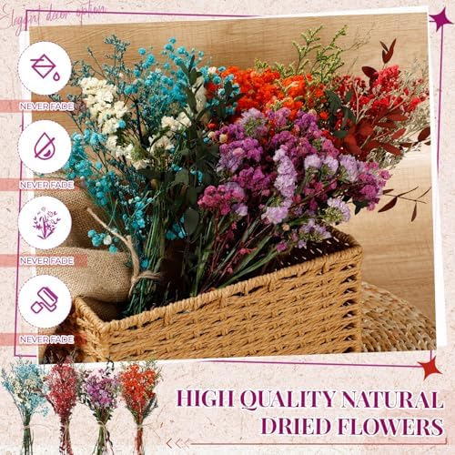 Layhit 4 Pack Large Size Boho Dried Flowers 15-17 Inch, Babysbreath