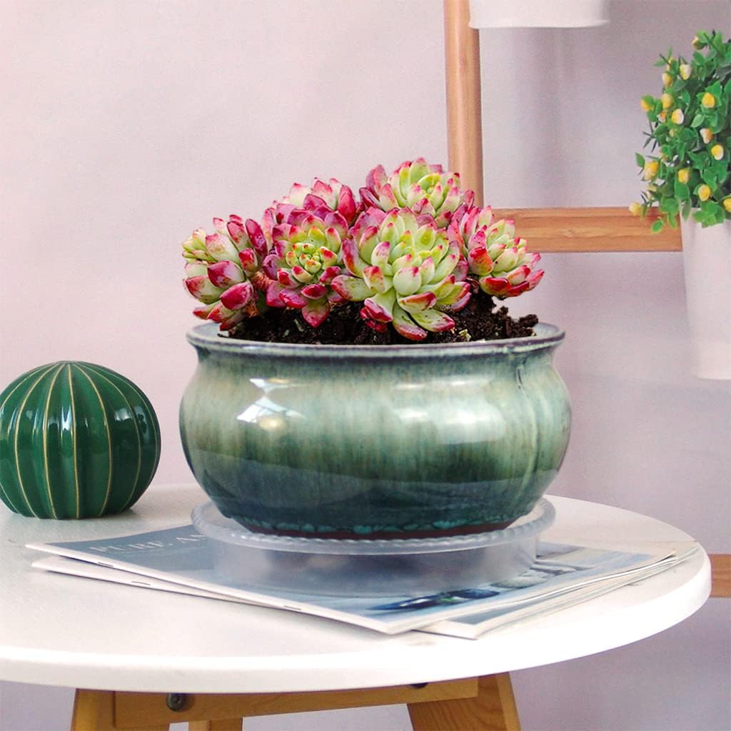 8 Inch Succulent Pot with Drainage and Saucer Glazed Terracotta Round Ceramic Succulent Planter Cactus Bonsai Plant Pot
